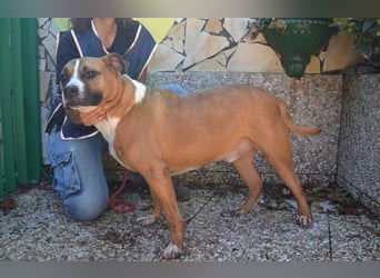 Ruben - Gastfreundschaft und Charme