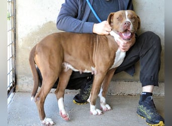 Olena - unser Sonnenschein!