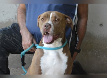 Olena - unser Sonnenschein!