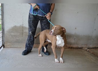 Olena - unser Sonnenschein!