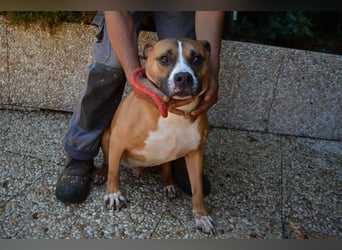 Ruben - Gastfreundschaft und Charme