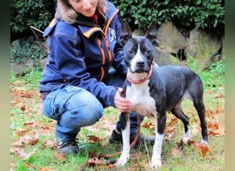 Aretusa - sieht so ein chancenloser Hund aus?