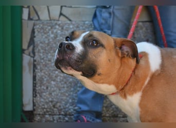 Ruben - Gastfreundschaft und Charme