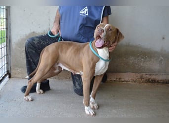 Olena - unser Sonnenschein!