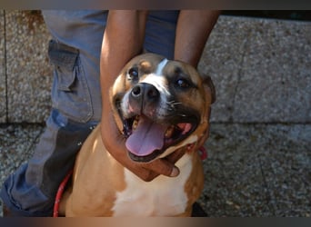 Ruben - Gastfreundschaft und Charme