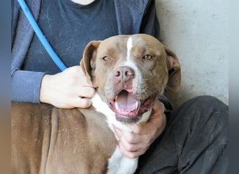 Olena - unser Sonnenschein!