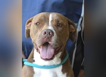 Olena - unser Sonnenschein!