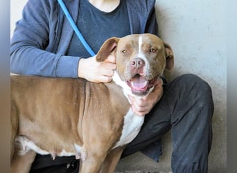 Olena - unser Sonnenschein!