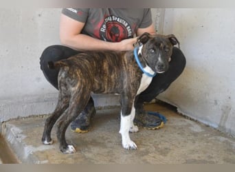 Aiko - Zwei Brüder auf der Suche nach Geborgenheit