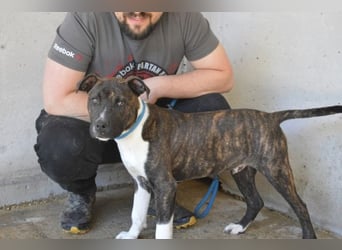 Aiko - Zwei Brüder auf der Suche nach Geborgenheit