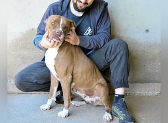 Olena - unser Sonnenschein!