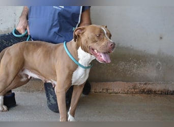 Olena - unser Sonnenschein!