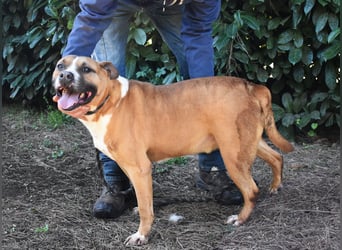 Ruben - Gastfreundschaft und Charme