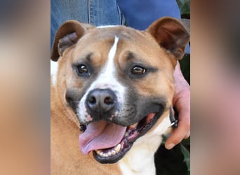 Ruben - Gastfreundschaft und Charme