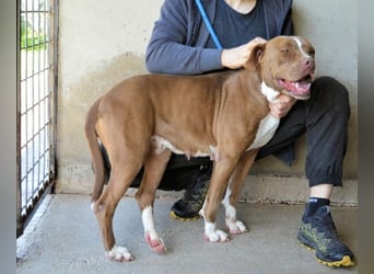 Olena - unser Sonnenschein!