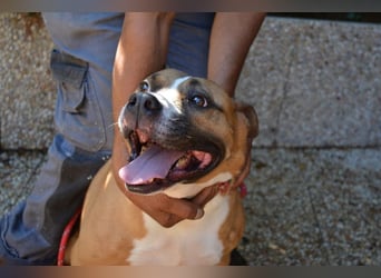 Ruben - Gastfreundschaft und Charme