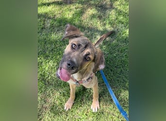 Luca: wer hat Lust, ihm das Leben zu zeigen?