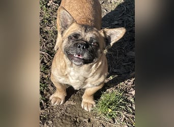 kleiner Schatz Elza sucht Zuhause