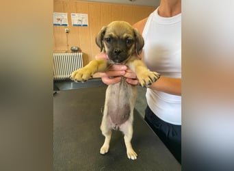 Frieda, so süß und schnuckelig