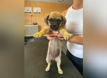 Frieda, so süß und schnuckelig