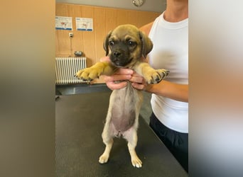 Frieda, so süß und schnuckelig
