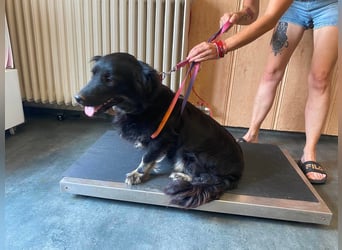 Frieda, so süß und schnuckelig