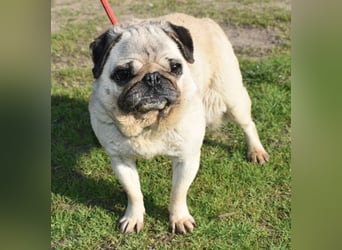 Etti - kleine Kämpferin mit großem Herz