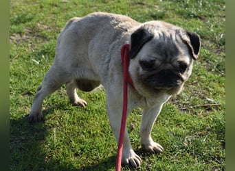 Etti - kleine Kämpferin mit großem Herz