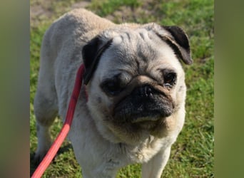 Etti - kleine Kämpferin mit großem Herz