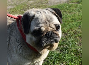 Etti - kleine Kämpferin mit großem Herz