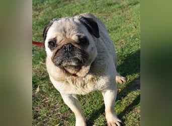 Etti - kleine Kämpferin mit großem Herz