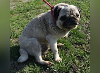 Etti - kleine Kämpferin mit großem Herz