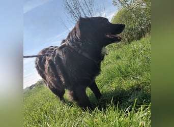 Luna ein sehr gutmütiges liebes Mädchen