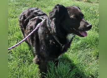 Luna ein sehr gutmütiges liebes Mädchen