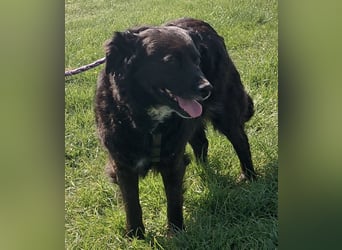 Luna ein sehr gutmütiges liebes Mädchen