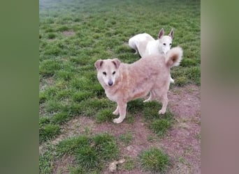 Lidi, sanfte Seele mit großem Herz