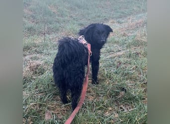 Asia kann in 36110 Schlitz kennengelernt werden