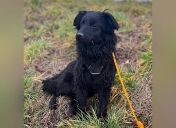 Asia kann in 36110 Schlitz kennengelernt werden