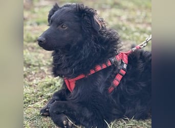 Asia kann in 36110 Schlitz kennengelernt werden