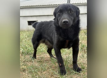 Pia die Allerliebste