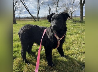 Lia ein kleiner Schatz