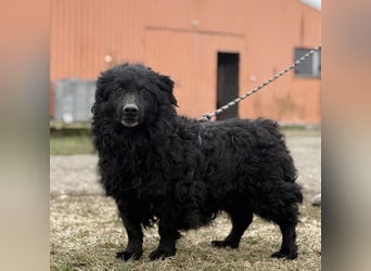 Lumpi ein lieber Schatz