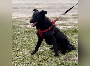 Aska ein verspieltes selbstbewusstes Mädchen