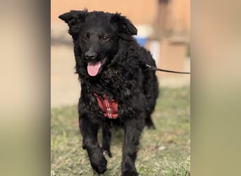 Asia die wundervolle fröhliche