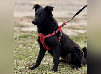 Aska ein verspieltes selbstbewusstes Mädchen