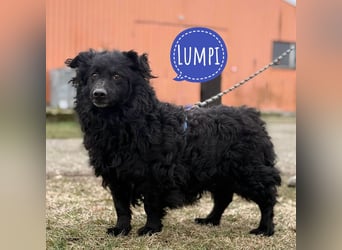 Lumpi ein lieber Schatz