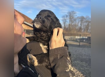 Milena eine kleine Zuckerschnute