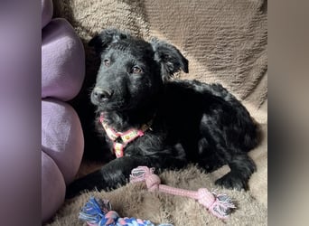 Lia ein kleiner Schatz