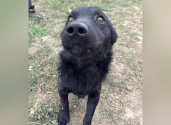 Pia die Allerliebste