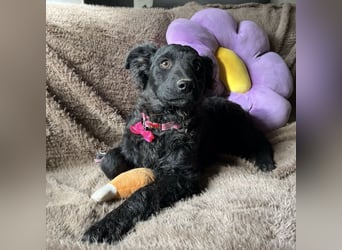 Lara ein kleiner Schatz